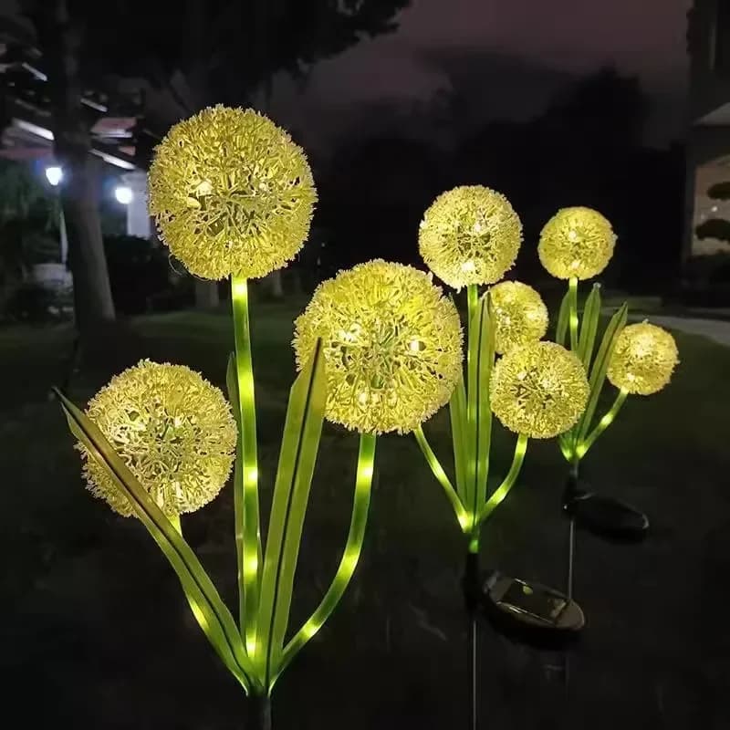 Solar paardenbloem prijsprikkers, gloeiende bolbloemen met groene bladeren